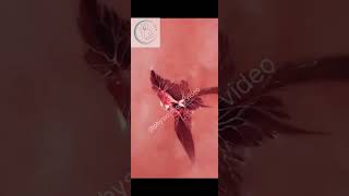 Mitral Valve of the heart ❤️3d shorts video ❤️ shorts shortvideo tranding anatomy short [upl. by Amoakuh]