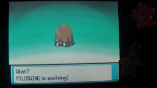 How to Evolve Piloswine into Mamoswine  Pokemon Heart Gold and Soul Silver [upl. by Gram586]