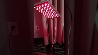 Red light therapy lamphow to use red light therapybest way to use red light therapy shorts [upl. by Drislane401]