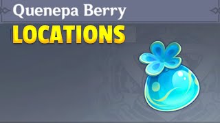 Where to find Quenepa Berries  Genshin Impact [upl. by Im]