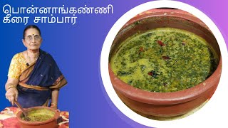 Ponnanganni keerai sambar  பொன் போன்ற மேனிக்கு பொன்னாங்கண்ணி கீரை சாம்பார் [upl. by Odlaumor]