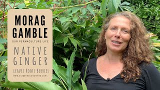 Native Ginger  how to grow harvest and use with Morag Gamble [upl. by Safir]