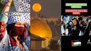 FREE PALESTINE  Free Palestine protest  Tiktok compilation [upl. by Odinevneib]