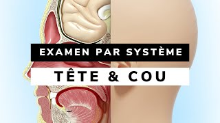 Introduction à lexamen TÊTE amp COU Anamnèse amp Examen par système [upl. by Niwrehs726]