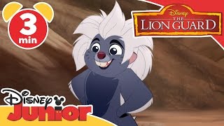 The Lion Guard  Running With The King Song  Disney Junior UK [upl. by Thorr662]