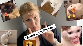 Mixed conditionals 2 conditional and 3 conditional [upl. by Boorer167]