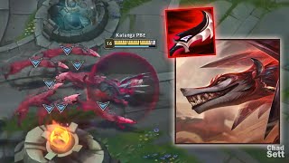 NEW Champion Naafiri with Lethality Items [upl. by Cacia685]