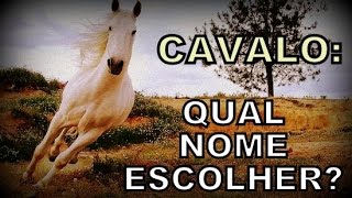 Nome para cavalo [upl. by Serafine477]