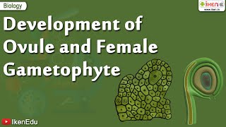 Biology Of Plants  Learn About Ovule and Gametophyte  iKen  iKen Edu  iKen App [upl. by Stelu]