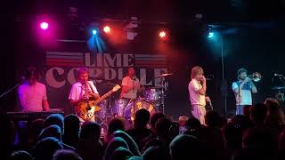 Lime Cordiale  No Plans To Make Plans live amsterdam bar stpaul minnesota downunder aussies [upl. by Yenroc]