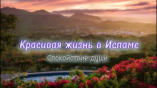 Мы Собрали Топ Советов Исламских Ученых Которые Стоит Услышать [upl. by Inahs]