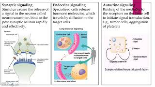 Intercellular and Intracellular signalling pathway part1 [upl. by Ardenia]