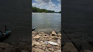 Fishing McAlpine Dam  7624 fishing fishingadventures ohioriver ohioriverpirates [upl. by Zack418]