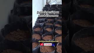 Polibek persiapan untuk tanamanviralvideo petani [upl. by Nhguavad]