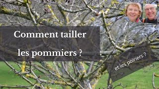 Comment tailler les pommiers et les poiriers [upl. by Kern705]