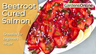 Beetroot Cured Salmon Gravlax  Recipe [upl. by Gathard790]