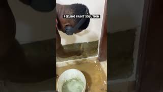 WALL DAMPNESS OR PEELING PAINT SOLUTION waterproofing construction dampproof explore [upl. by Noicpesnoc]