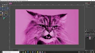 How to Add a Color Filter to an Image [upl. by Blas817]