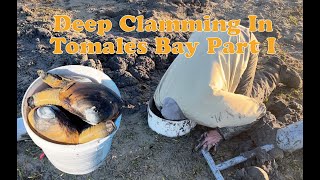 Deep Clamming in Tomales bay  Foraging the Sonoma Coast Part I [upl. by Skantze119]