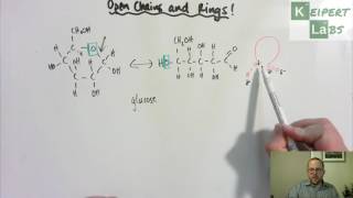 Open Chain and Ring Forms in Monosaccharides [upl. by Ariaz]