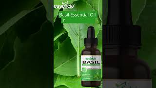 Essancia  Basil Essential Oil for Hair Care Skin Care Body Massage and Aromatherapy [upl. by Sauncho]