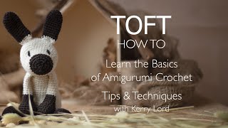 Learn the Basics of Amigurumi Crochet [upl. by Neesay830]