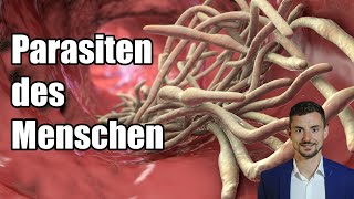 Parasiten des Menschen  Was sind Parasiten Mikro amp Makroparasiten Würmer  Sören Schumann [upl. by Siuqram]