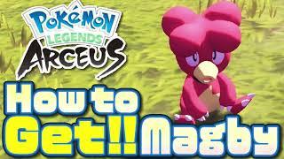 How to Get Magby in Pokemon Legends ArceusMagby Location [upl. by Ecertak308]