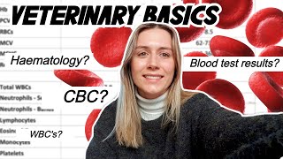 VETERINARY BASICS How to read a blood test CBC amp Haematology [upl. by Eilrak]