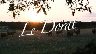 LE DORAT FRANCE [upl. by Nive]