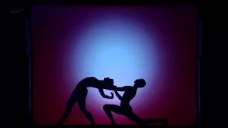 Britains Got Talent  Hungarian Shadow Dancers  Attraction Black Light Theatre HD 720p [upl. by Valda]