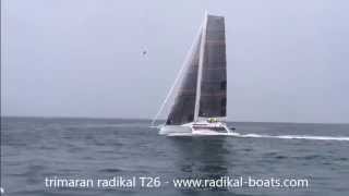 Trimaran Radikalboats T26 sailing [upl. by Sinylg]