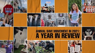 Animal Save Movement in 2021 A Year In Review [upl. by Harmonia]