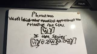 Phone w̃͢ɣ voiced labialvelar nasalized approximant velar fricative slur consonant [upl. by Nnep]