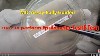 How to test MIC of antibiotics for bacteria [upl. by Tnek837]