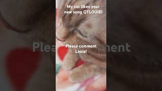 QTLouie My cat loves your new song Please comment [upl. by Girard]