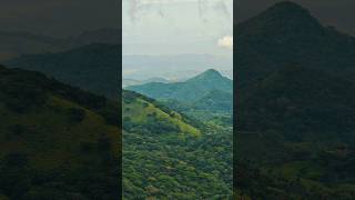 Be green in Selvatura Park in Monteverde 🌳🍃💚🇨🇷👌selvaturapark monteverde costarica cloudforest [upl. by Alimhaj]