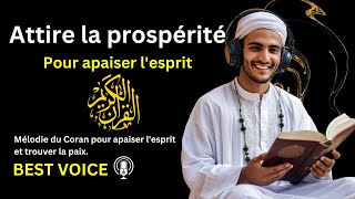 Voix paisible Sourate Waqiah Voix Relaxante pour Apaiser lAnxiété et Calmer lEsprit [upl. by Bussy534]