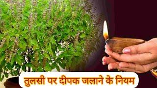 तुलसी पर दिया जलाने के नियम  tulsi mata ko deepak jalane ki vidhi  tulsi ko deepak kaise jalaye [upl. by Maurita277]