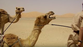 Deserted By Desert Camels  Ben amp James Versus The Arabian Desert  BBC [upl. by Nahte161]