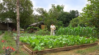 Full Video 90 Days of Farm Life Farming Garden Harvesting Cooking Animal Care [upl. by Malina]