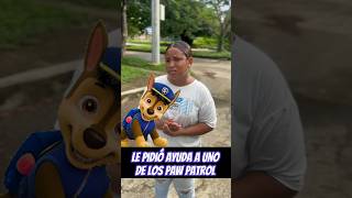 Le pidió ayuda a uno de los paw patrol 😱 [upl. by Aicatsue733]