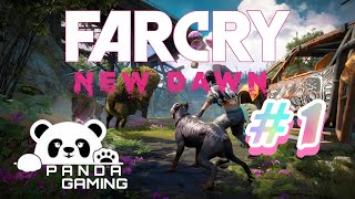 Far Cry New Dawn  Part 1  SURVIVING A POSTAPOCALYPTIC MONTANA Hindi Gameplay [upl. by Kwei]