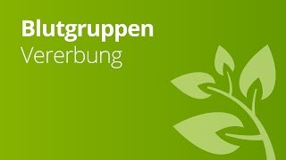 Blutgruppen AB0 und Rhesusfaktor und ihre Vererbung  Biologie  Genetik und Entwicklungsbiologie [upl. by Itaws]