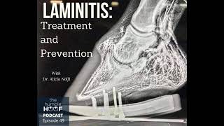 Laminitis Treatment and Prevention [upl. by Nednerb748]