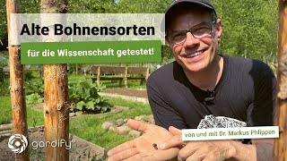 Alte Sorten Stangenbohnen und Buschbohnen für die Wissenschaft getestet 🔬 Citizen ScienceINCREASE [upl. by Aggri]