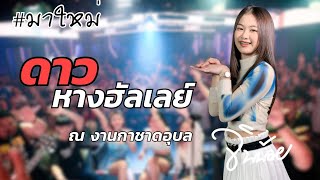 จินน้อยUpartyแสดงสด ดางหางฮัลเลย์ ณ งานกาชาดอุบล [upl. by Pich]