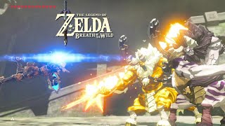 Defeating two Lynels at BotW Coliseum in a minute penultimate boss as an extra  Legend of Zelda [upl. by Idnar]