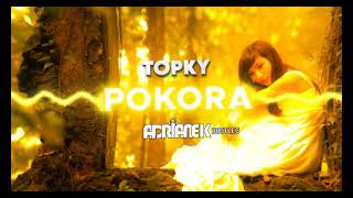 Topky  Pokora Adrianek REFRESH BOOTLEG [upl. by Ekram]