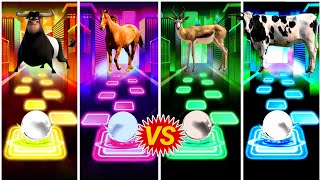 Ferdinand Dance 🆚 Funny Horses Dance 🆚 Funny Moose 🆚 Funny Dance CowWho In The Best 👍Coffin Dance🎵 [upl. by Evars]